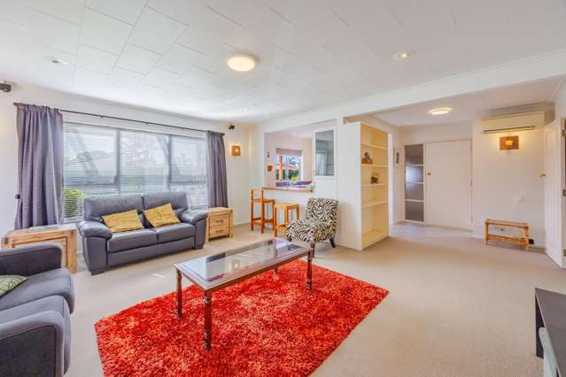 13 Westminster Avenue Tamatea_1