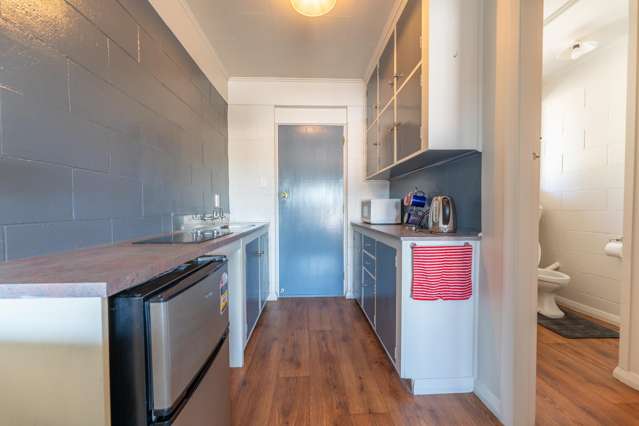 3/46 Evans Street Maori Hill_2