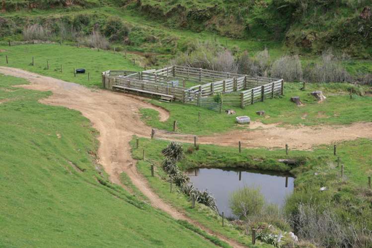 892 Tarata Road Kaimata_13