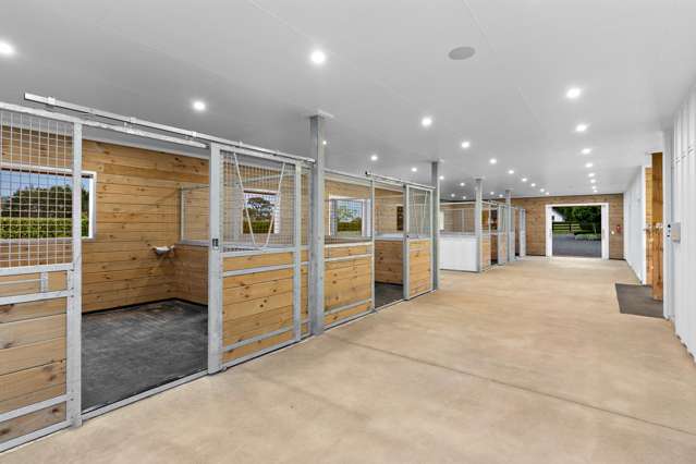 115 Galloway Road Karaka_4