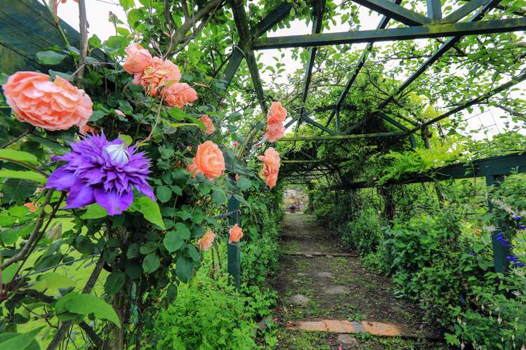 37 Gillies Crescent Waimarama_16