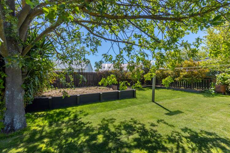 50 Beaver Road Blenheim Central_14