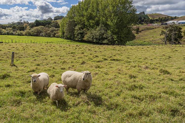 77 Pataua North Road Whareora_14