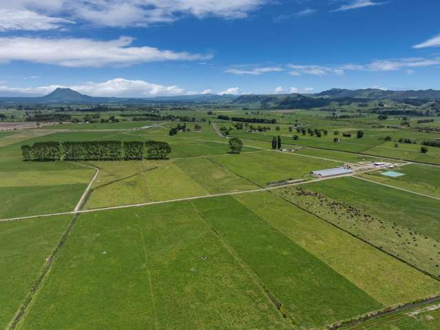 697 Matata Road Matata_3