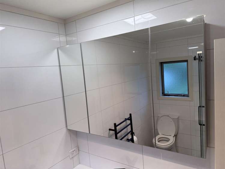 85 Emerald Hill Drive Birchville_13