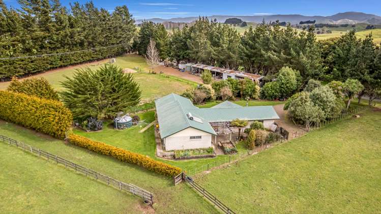 356 Matamau Ormondville Road Dannevirke_19