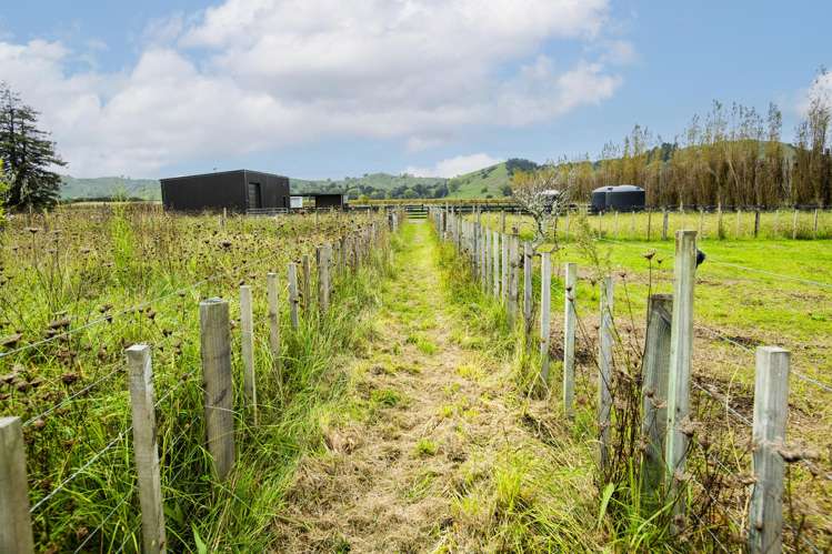 1290 Matawai Road Ormond_19