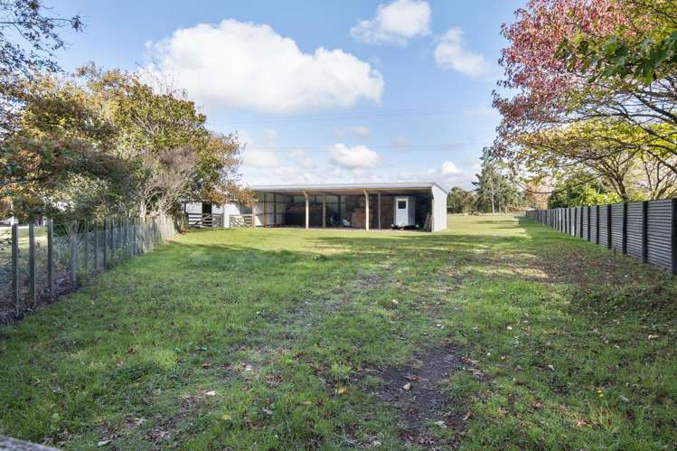 363 Brandon Hall Road Bulls_24