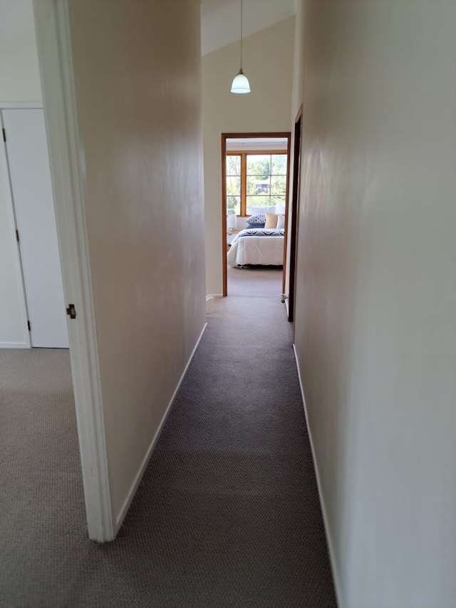 76 Beach Road Castor Bay_4