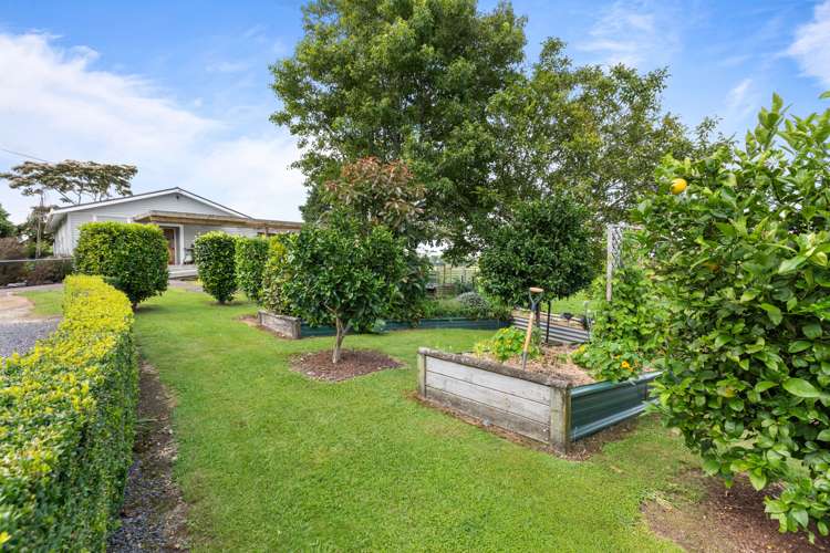 1816b Te Aroha-Gordon Road Gordon_14