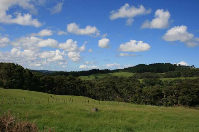 1295 Old North Road Helensville_1