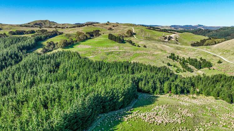 1550 Glenora Road Akitio_26