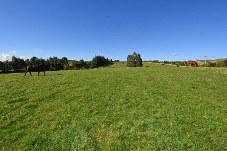 121 Southdown Drive Martinborough_6