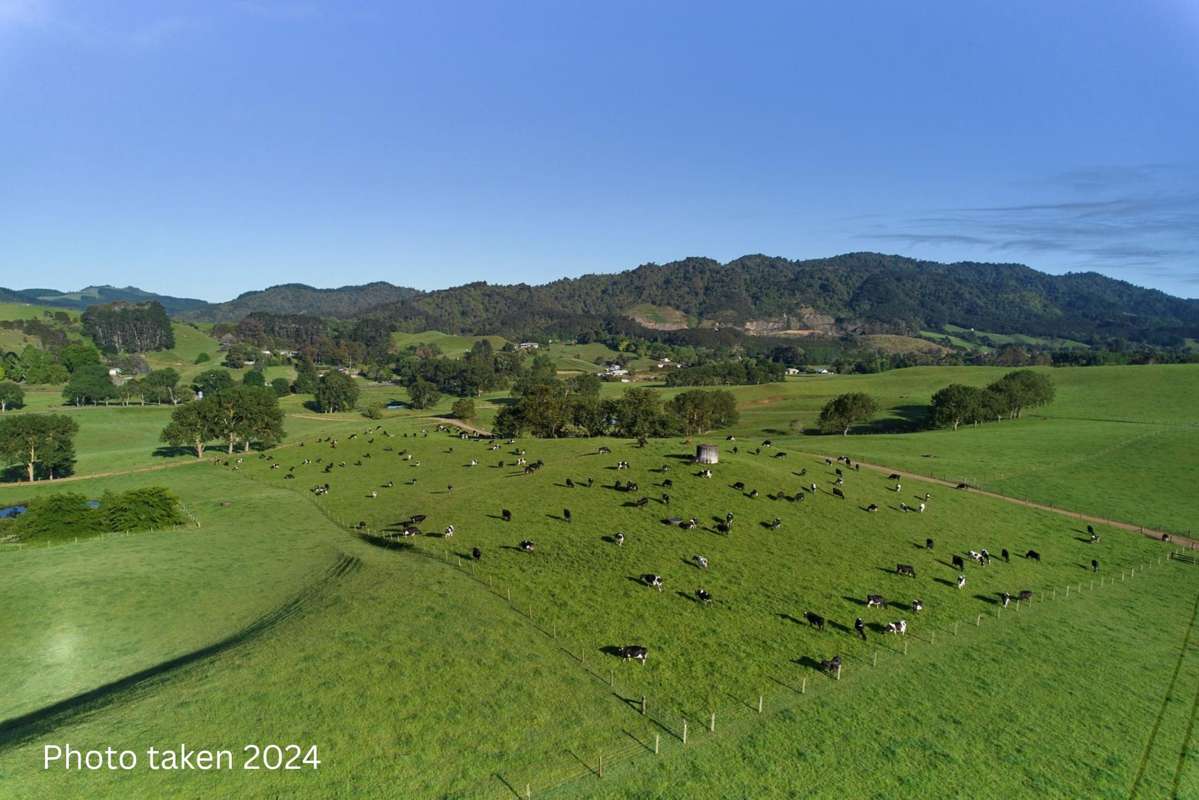 165B Te Puroa Road_2
