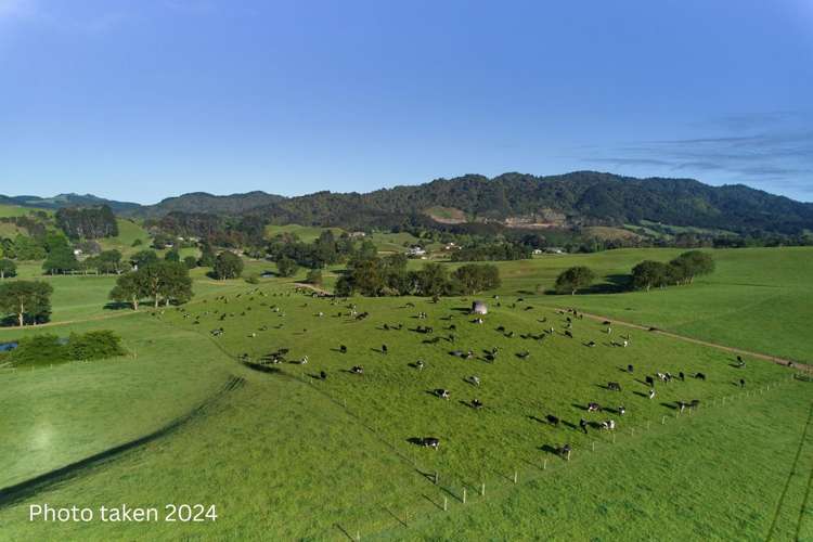 165B Te Puroa Road Ngaruawahia_6