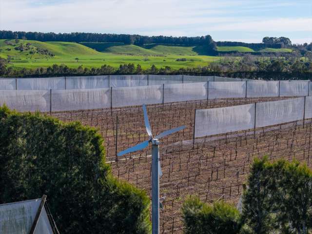 80 Roydon Downs Road Paengaroa_2