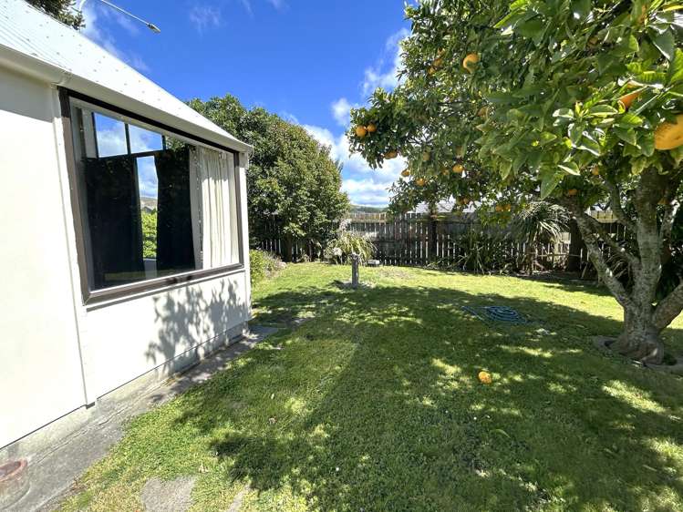 161 Avondale Road Greenmeadows_3