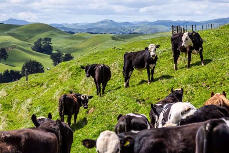 507 Valley Road Woodville_10