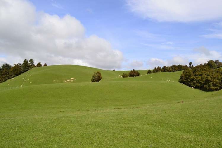 38 Greenall Road Balclutha_17