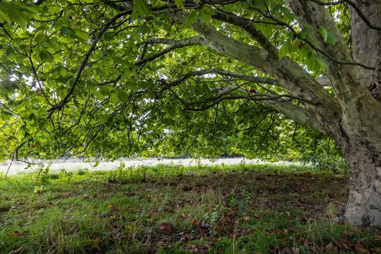 47 Bush Road Tuamarina_14