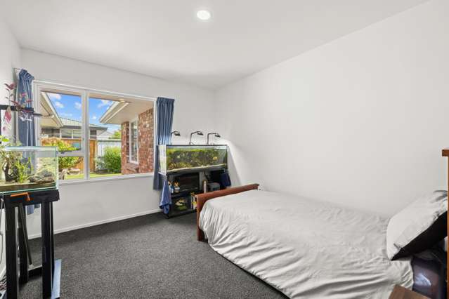 43 Norrie Street Redwood_4