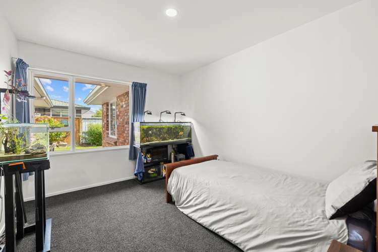43 Norrie Street Redwood_4