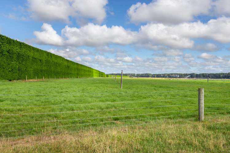 589 Coutts Island Road Coutts Island_24