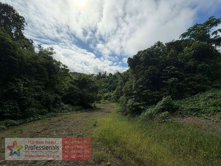 Address withheld Savusavu_13