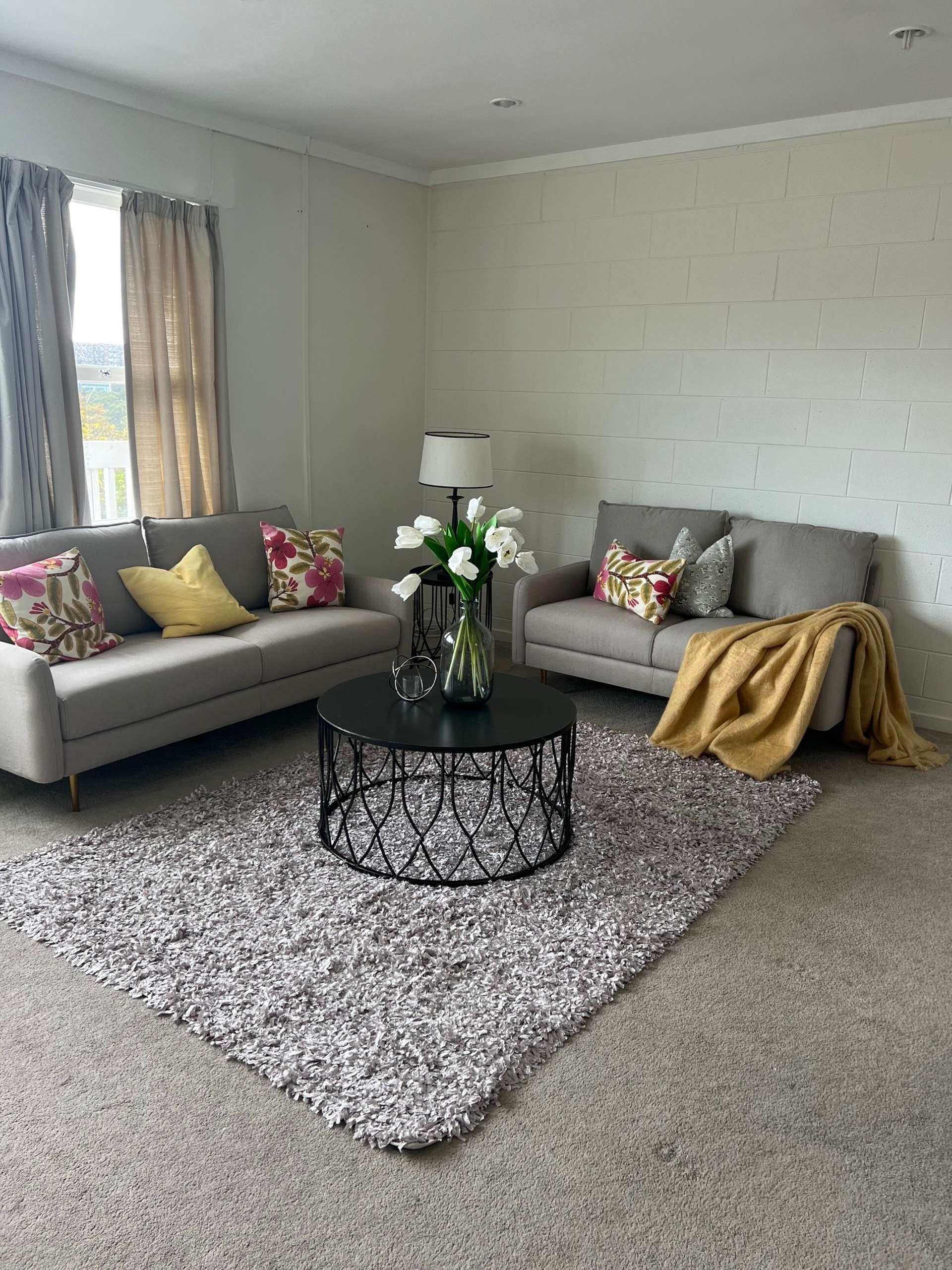 8/2a Ewenson Ave One Tree Hill_0