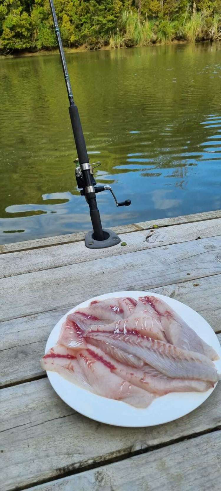 38 Rivendell Place Warkworth_24