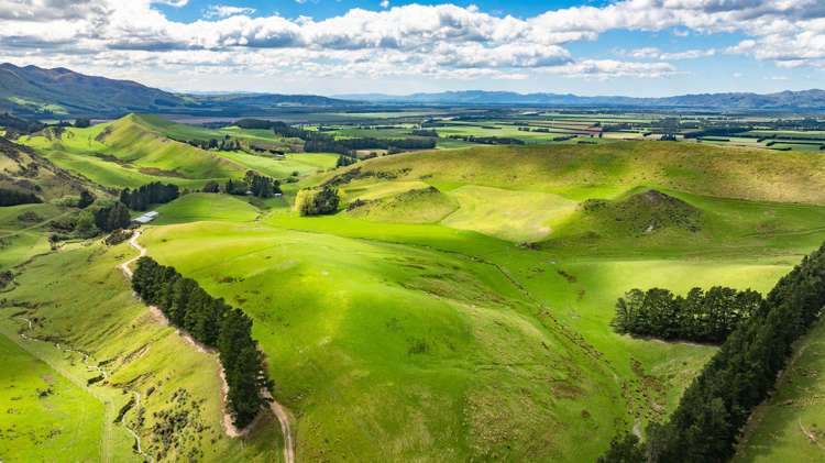 1157 The Peaks Road Hawarden_2