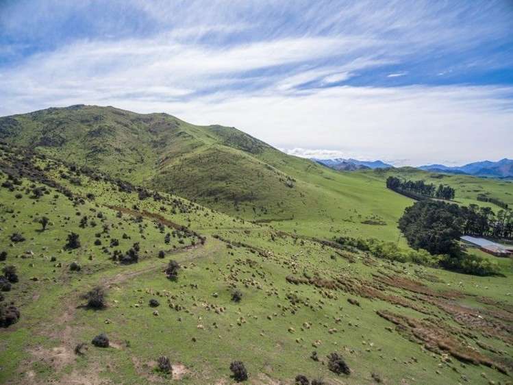 230 Taruna Road Hawarden_3