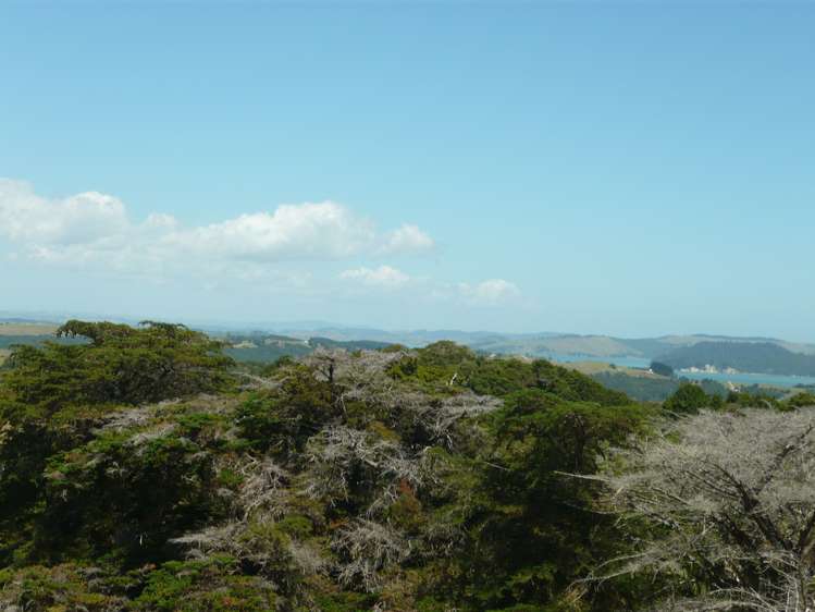 843 Whakapirau Road Whakapirau_16