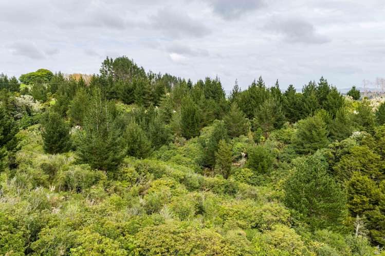 3044 Paparoa-Oakleigh Road, Paparoa Paparoa_16