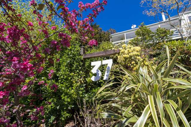 37 Brunner Street Nelson South_2