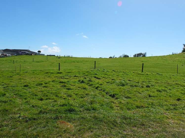 16 Brown Street Foxton_6