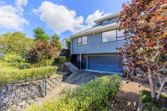 1b George Laurenson Lane Mount Roskill_1