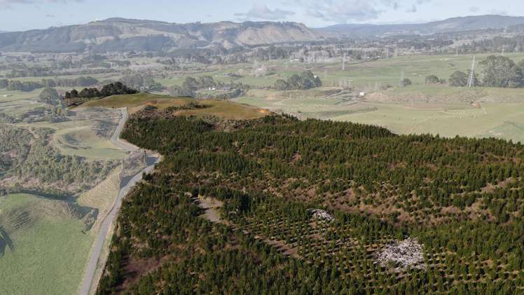 414C Dalbeth Road Hamurana_12