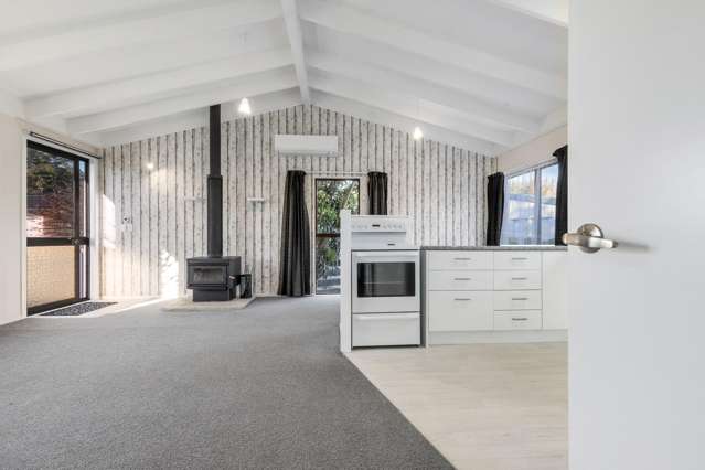 4 Kirkcaldie Grove Levin_3