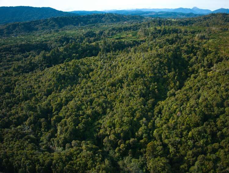 330 Rutherglen Road Marsden_33