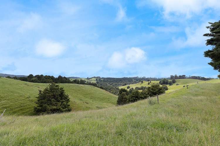 Lot 2/347 Porter Road Paparoa_22