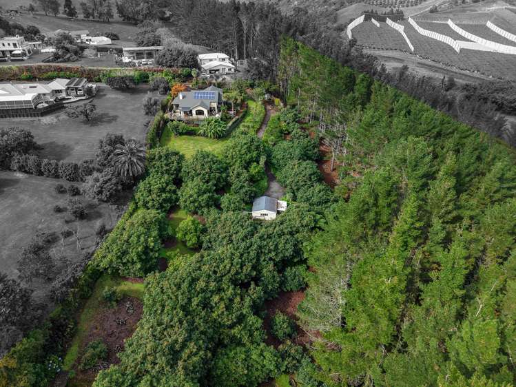 14 Tupelo Place Ohauiti_18