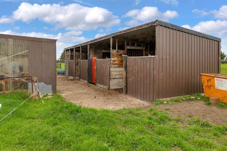 186 West Denbie Lane Swannanoa_31