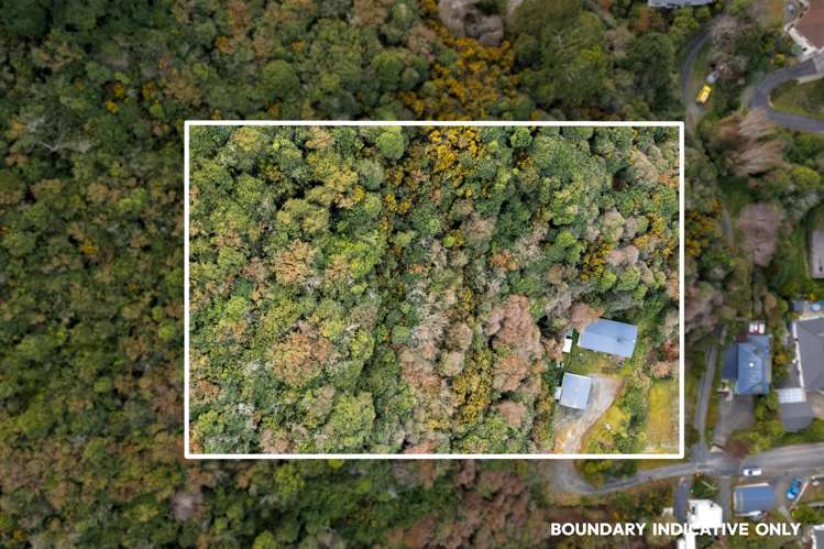 24 Korimako Street Saint Leonards_16