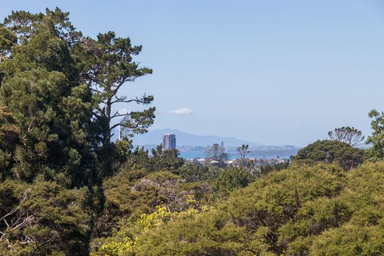 103a Birkenhead Avenue Birkenhead_9