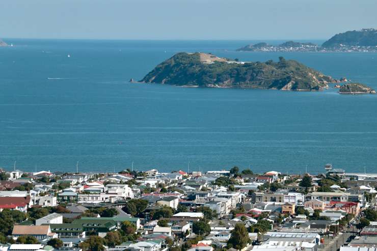 Devonport Auckland houses