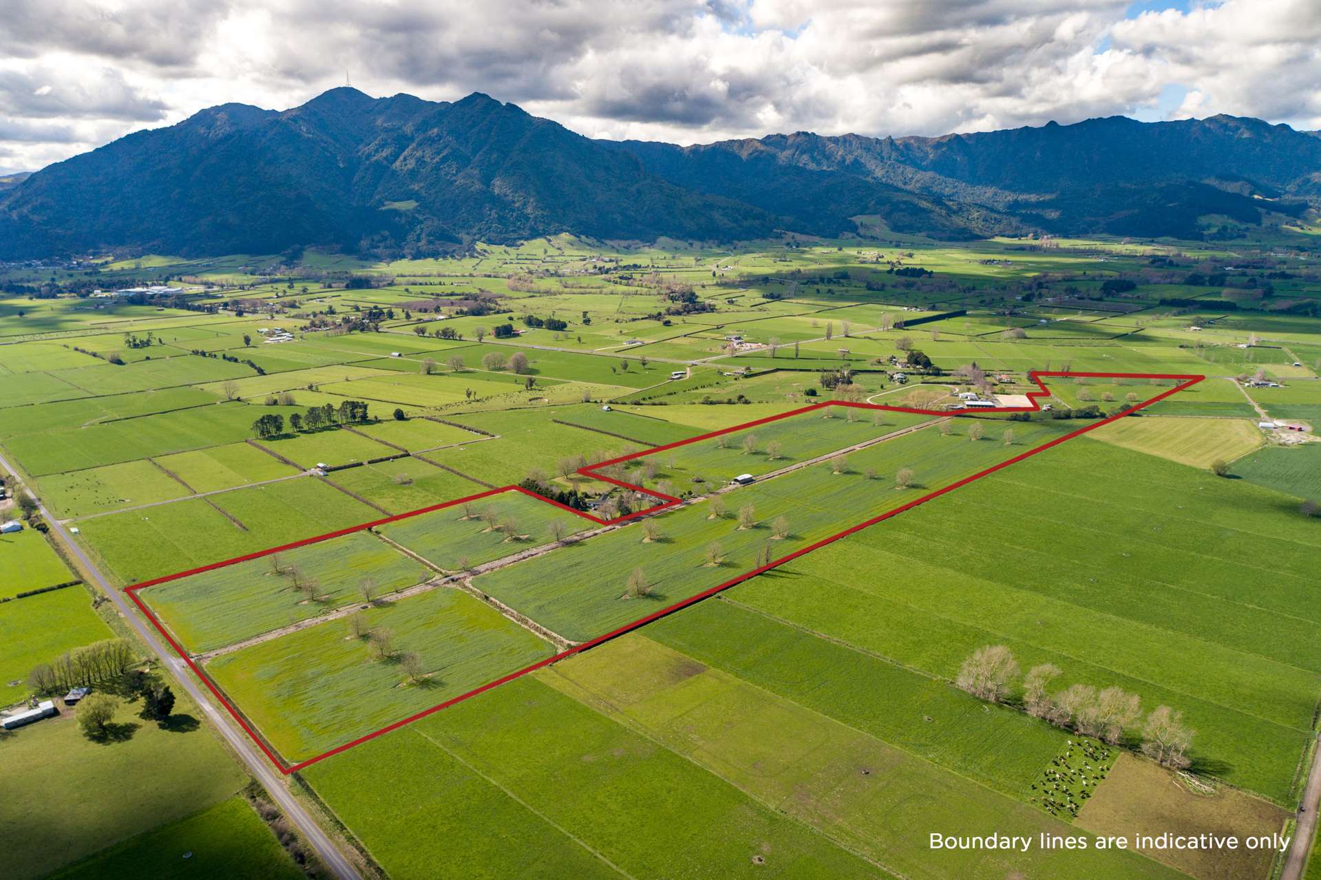 O'Donoghue Road Hauraki Surrounds_0