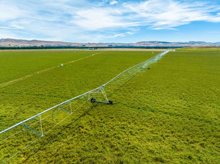 157 Georges Road Amberley_15