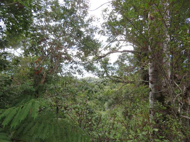 Lot 2 Fern Flat Rd Peria_4