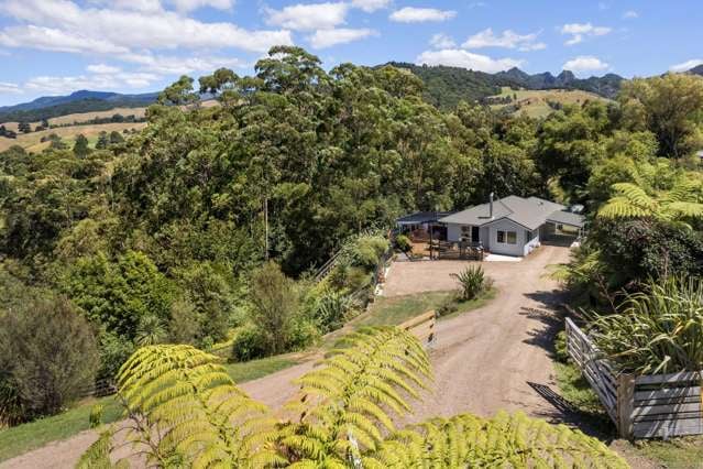 Idyllic Native Bush Setting with a View